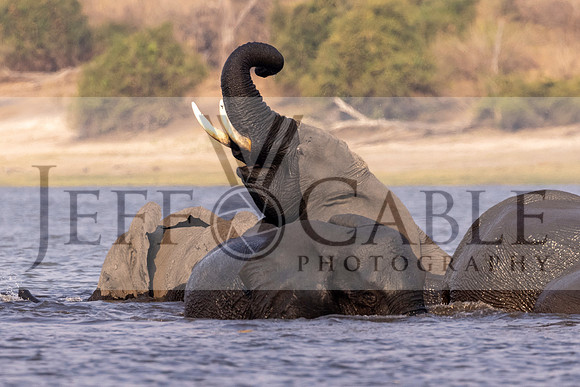 Edit-Botswana-2021-2785