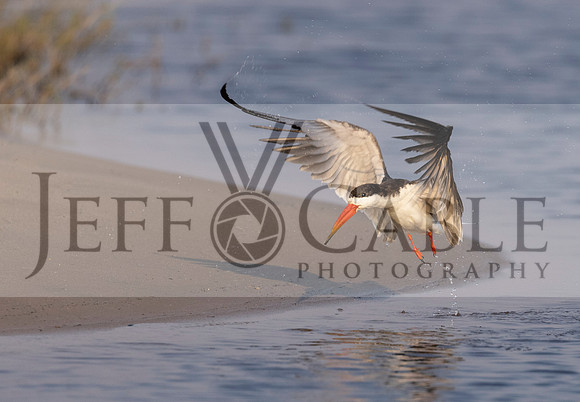 Edit-Botswana-2021-2355