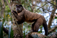 Edit-Pantanal-Brazil-Photo-Tour-1073