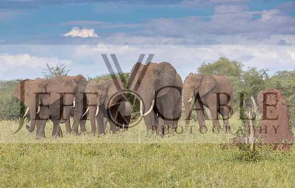 Edit-Tanzania-Safari3-0455