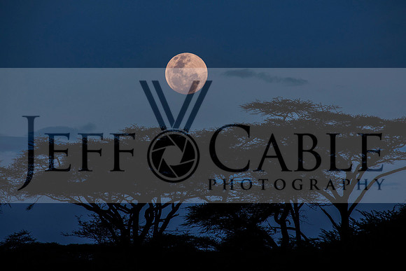 Edit-Tanzania-Safari3-2522