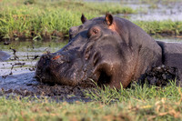 Edit-Botswana-2021-2443-crop