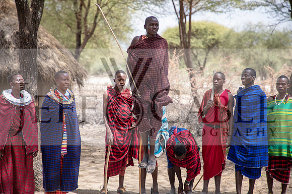 Edit-Tanzania-Migration-Tour-00089