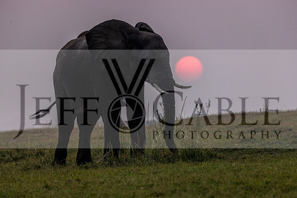 Edit-Botswana-2021-3239