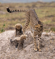 Edit-Kenya-Tour-2021-1143