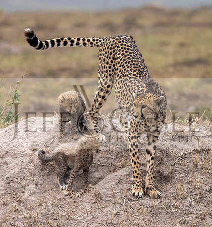 Edit-Kenya-Tour-2021-1143