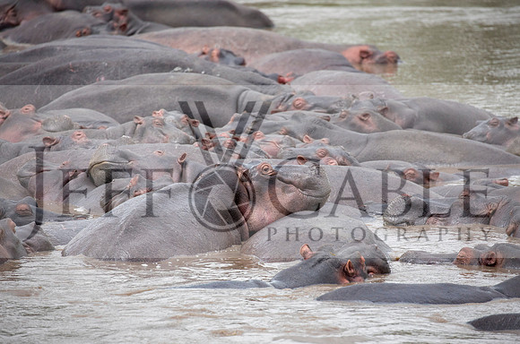 Edit-Tanzania-Safari3-3465