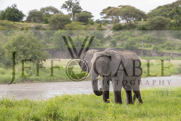 Edit-Tanzania-Safari3-1188