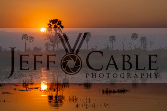 Edit-Botswana-2021-1205