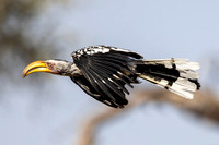 Edit-Botswana-2021-0944