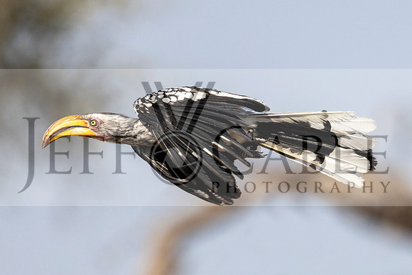 Edit-Botswana-2021-0944