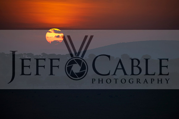 Edit-Tanzania-Migration-Tour-03480