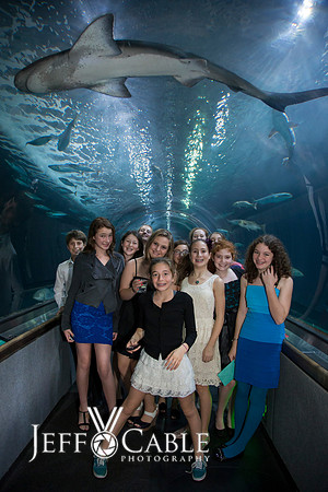 Bay Area Mitzvah