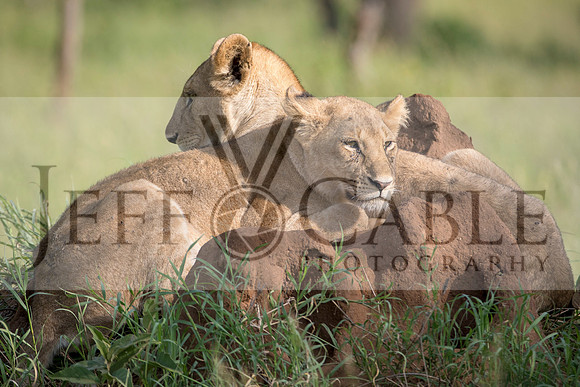 Edit-Tanzania-Safari3-3741