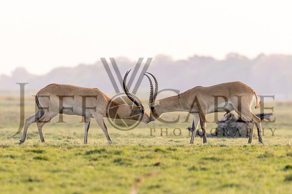 Edit-Botswana-2021-3878