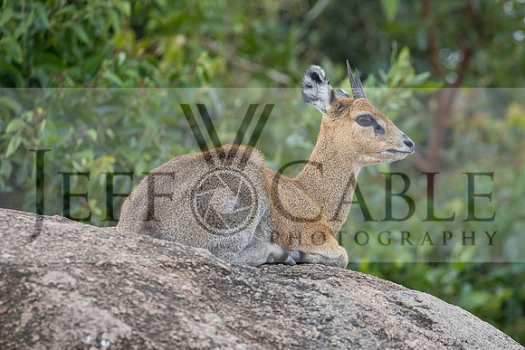 Edit-Tanzania-Migration-Tour-01389
