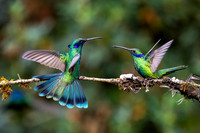 Peru Photo Tour