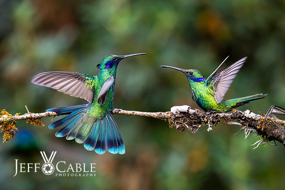 Peru Photo Tour