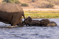 Edit-Botswana-2021-2893