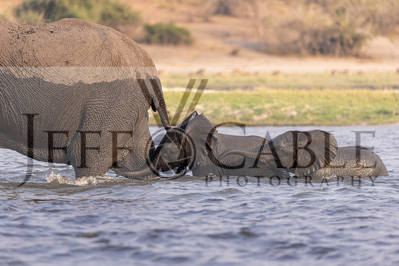 Edit-Botswana-2021-2893