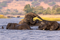 Edit-Botswana-2021-2809