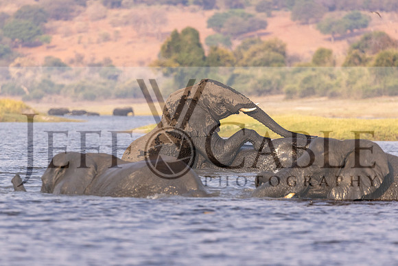 Edit-Botswana-2021-2809