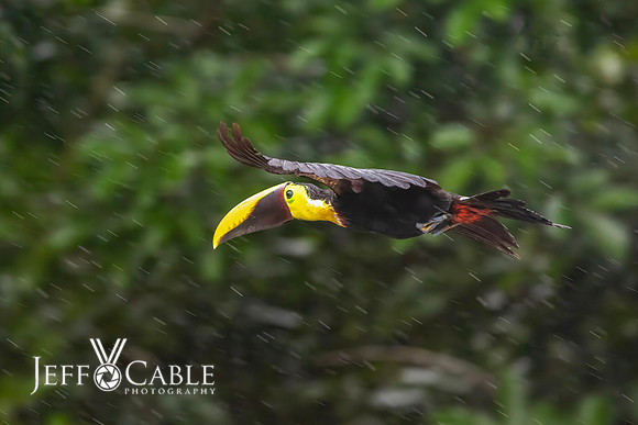 Costa Rica Photo Tours