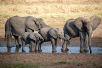Edit-Tanzania-Migration-Tour-00357
