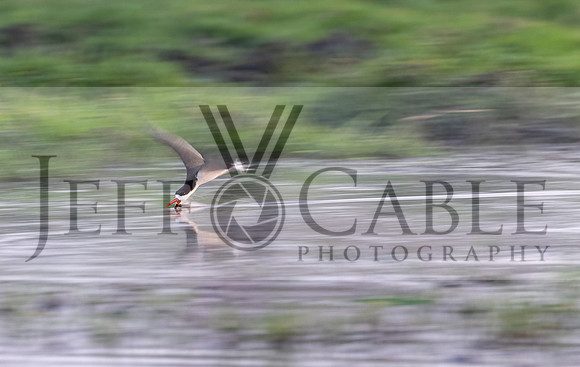 Edit-Botswana-2021-3224v2