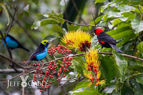 Peru Photo Tour