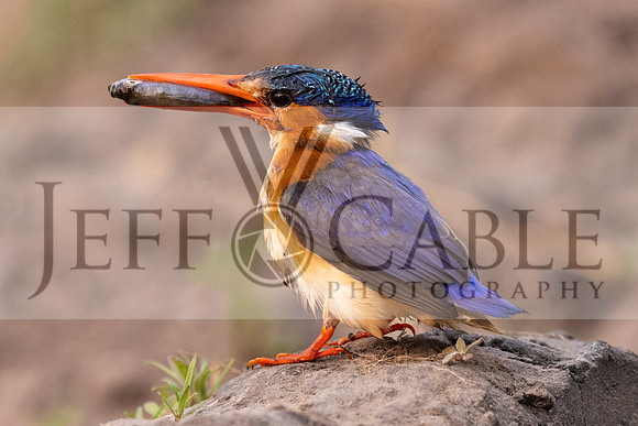 Edit-Botswana-2021-3662