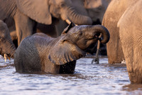 Edit-Botswana-2021-3039