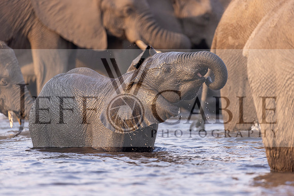 Edit-Botswana-2021-3039