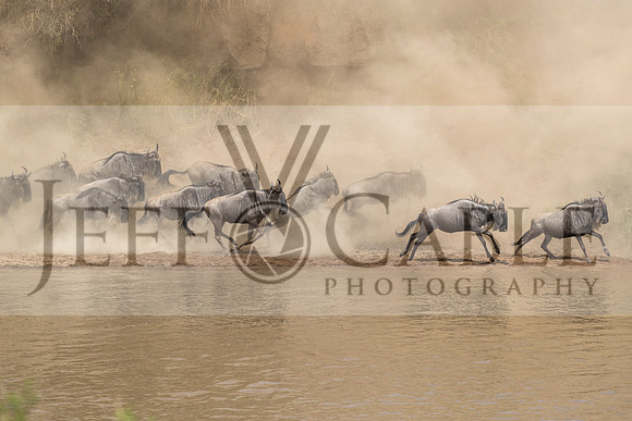 Edit-Tanzania-Migration-Tour-02374