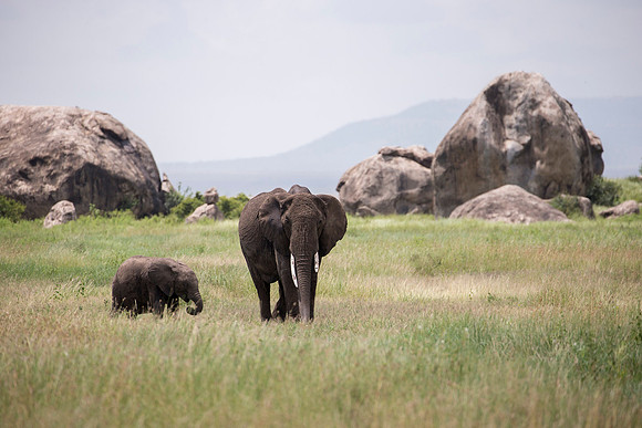Edit_Tanzania_2016_4822