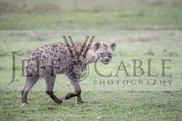 Edit-Tanzania-Safari3-2998