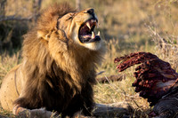 Edit-Botswana-2021-0830