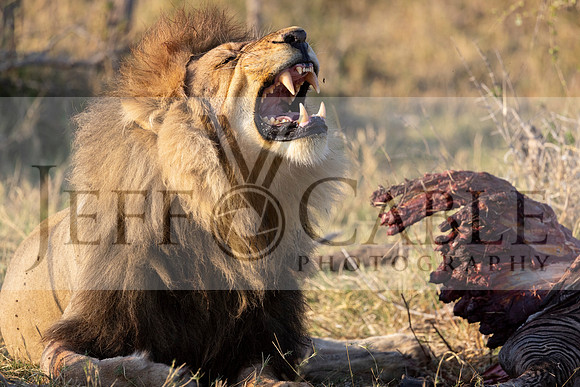 Edit-Botswana-2021-0830