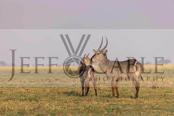 Edit-Botswana-2021-2365