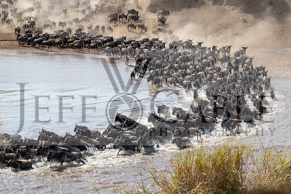 Edit-Tanzania-Migration-Tour-02217