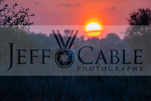 Edit-Tanzania-Migration-Tour-01011-mod
