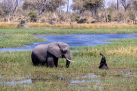 Edit-Botswana-2021-1029