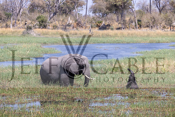 Edit-Botswana-2021-1029