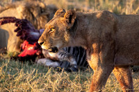 Edit-Botswana-2021-0695