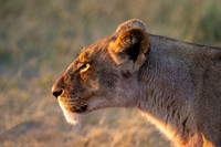 Edit-Botswana-2021-0659
