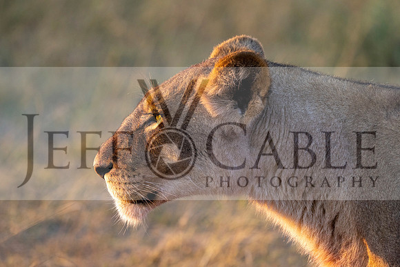 Edit-Botswana-2021-0659