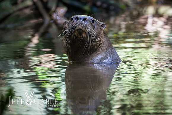 Peru Photo Tour