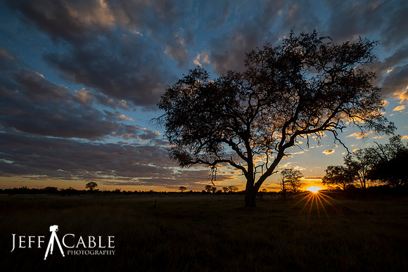 Botswana Sunset
