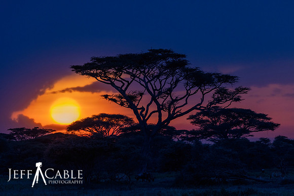 Tanzania Sunset