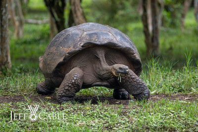 Edit-Galapagos-Photo-Tour#2-0735